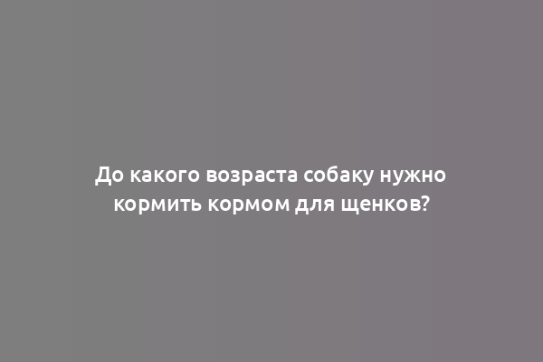 До какого возраста собаку нужно кормить кормом для щенков?