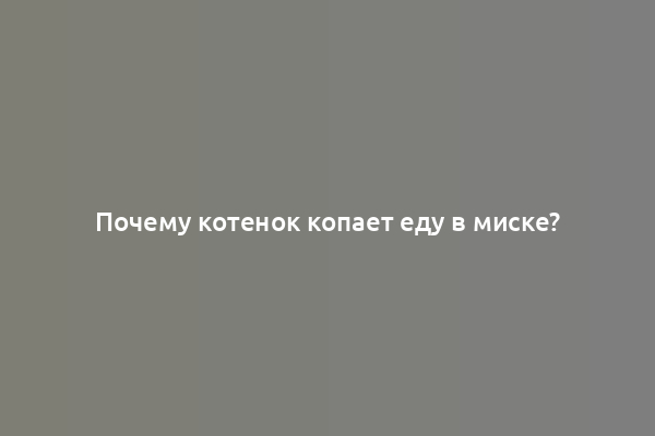 Почему котенок копает еду в миске?