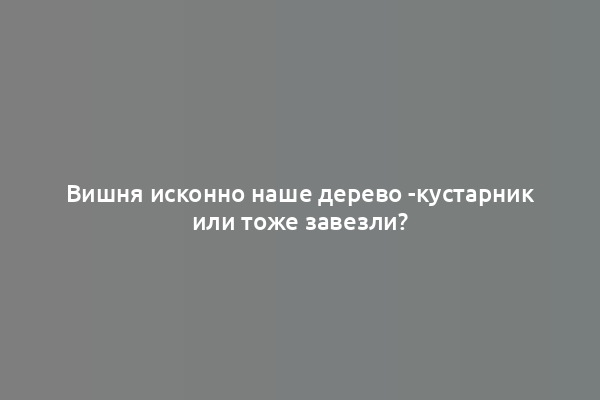 Вишня исконно наше дерево -кустарник или тоже завезли?