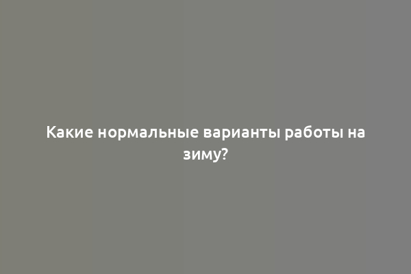 Какие нормальные варианты работы на зиму?