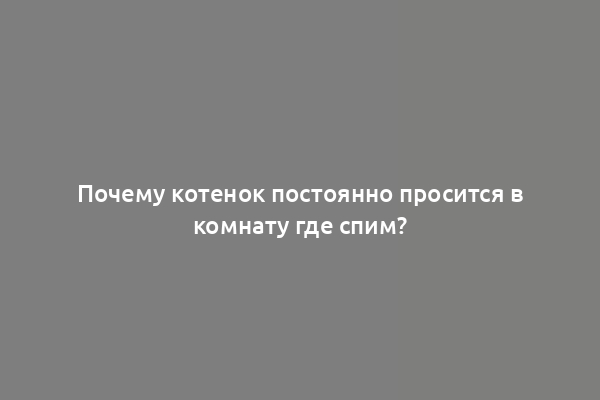 Почему котенок постоянно просится в комнату где спим?