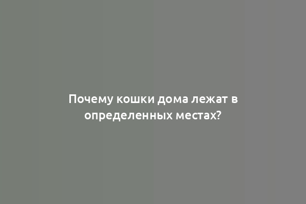Почему кошки дома лежат в определенных местах?