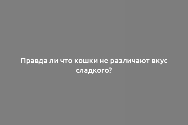 Правда ли что кошки не различают вкус сладкого?