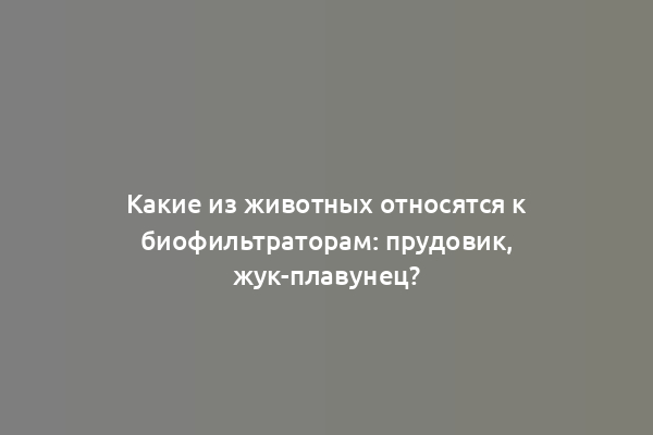 Какие из животных относятся к биофильтраторам: прудовик, жук-плавунец?